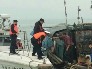 南沙區(qū)畜牧漁業(yè)飼料產(chǎn)業(yè)的現(xiàn)代化發(fā)展與管理